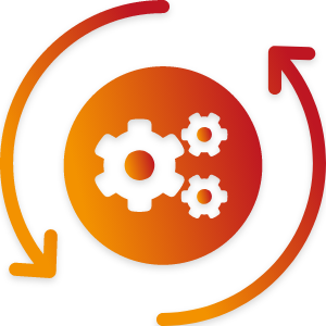 custom-solution